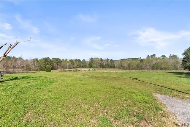 5096 Benevola Rd, Gordo, AL 35466