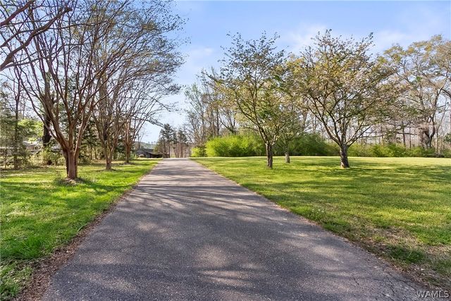 5096 Benevola Rd, Gordo, AL 35466