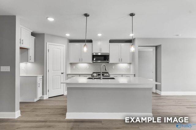 107 Berry Blossom Drive, Madison, AL 35773
