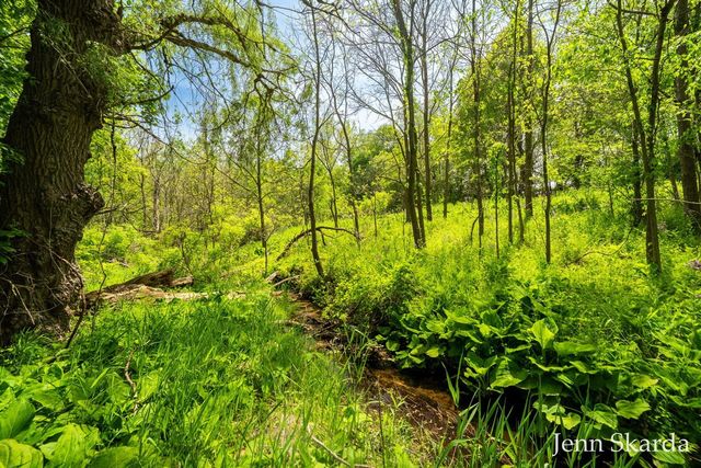 415 N State Road, Belding, MI 48809