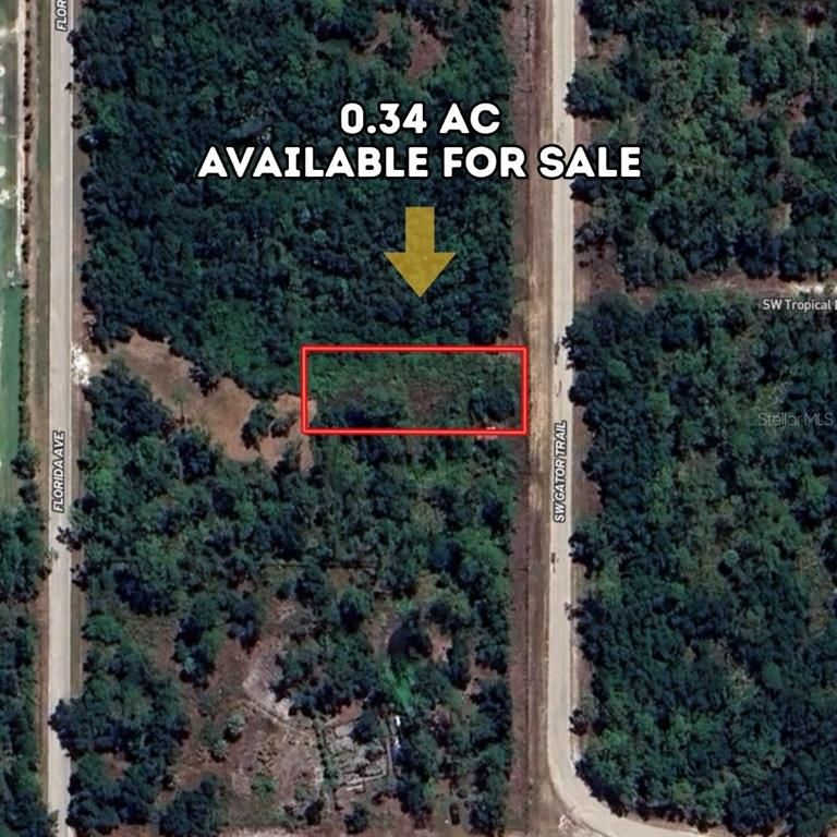1677 SW GATOR TRAIL, Arcadia, FL 34266