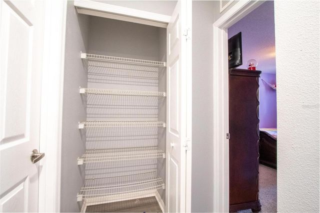 1033 TAWNY EAGLE DRIVE, Groveland, FL 34736