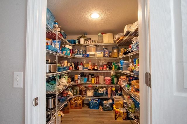 1033 TAWNY EAGLE DRIVE, Groveland, FL 34736