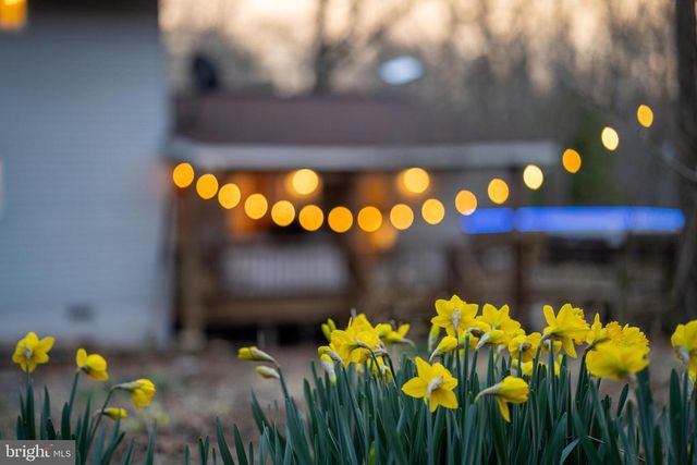 1131 PAGE VALLEY RD, Luray, VA 22835