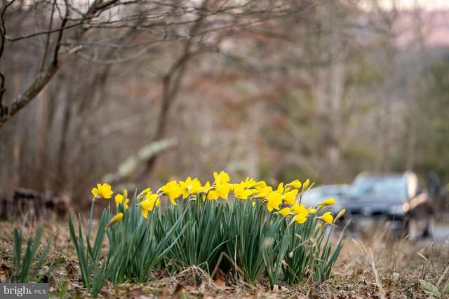 1131 PAGE VALLEY RD, Luray, VA 22835