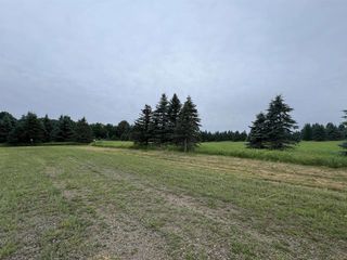 Lot 8 SUE ALAN DRIVE, Wittenberg, WI 54499