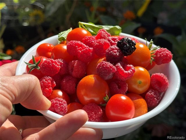 2737 N Elizabeth St, Denver, CO 80205