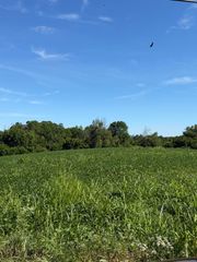7825 Mount Carmel Road, Flemingsburg, KY 41041