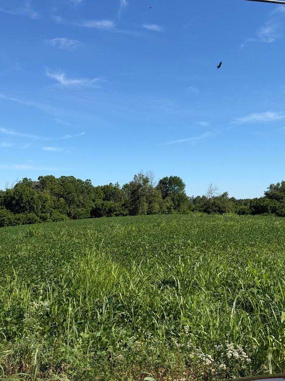 7825 Mount Carmel Road, Flemingsburg, KY 41041