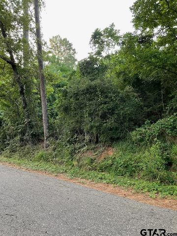 TBD County Road 4705, Troup, TX 75789