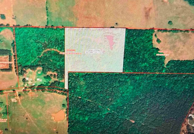 TBD County Road 4705, Troup, TX 75789