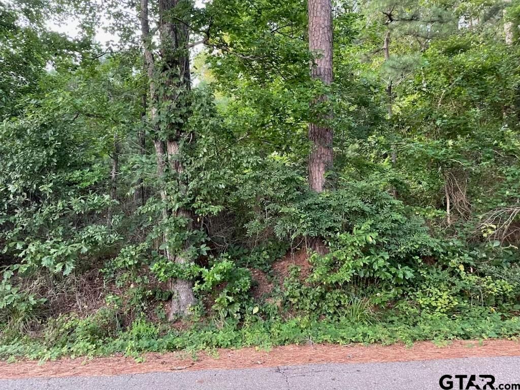 TBD County Road 4705, Troup, TX 75789