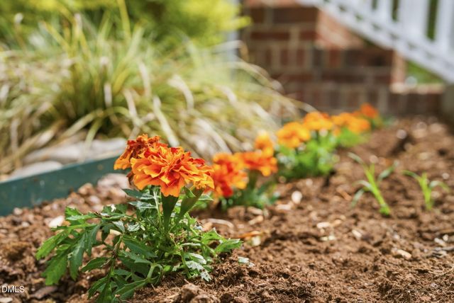 4809 Royal Troon Drive, Raleigh, NC 27604