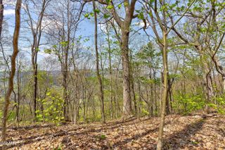 Lot 125E Settlers View Lane, Sevierville, TN 37862