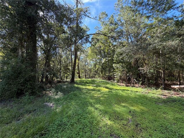 35436 REYNOLDS STREET, Dade City, FL 33523