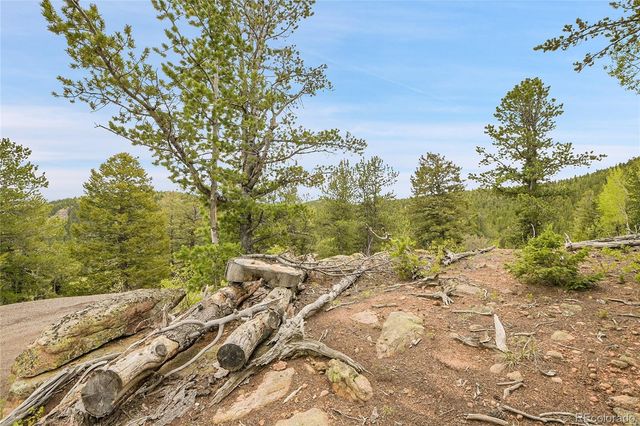 000 Mule Slide Trail, Conifer, CO 80433