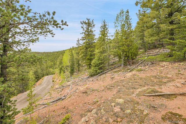 000 Mule Slide Trail, Conifer, CO 80433