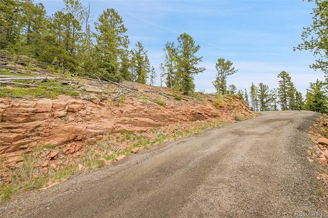 000 Mule Slide Trail, Conifer, CO 80433