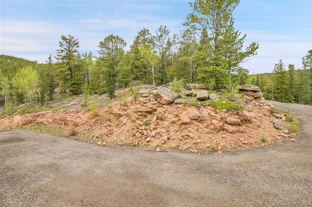 000 Mule Slide Trail, Conifer, CO 80433