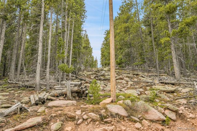 000 Mule Slide Trail, Conifer, CO 80433