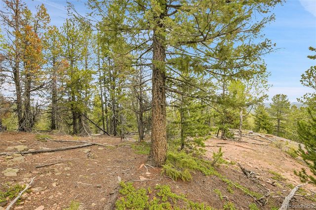 000 Mule Slide Trail, Conifer, CO 80433