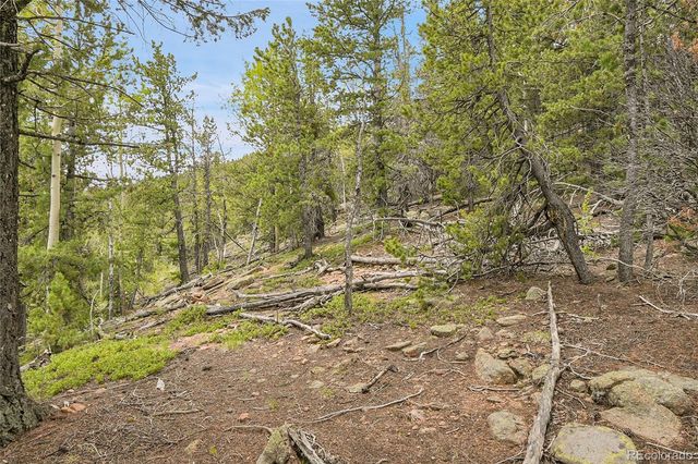000 Mule Slide Trail, Conifer, CO 80433