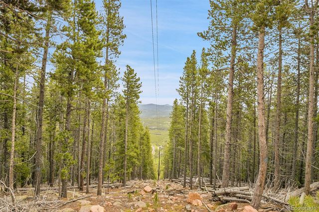 000 Mule Slide Trail, Conifer, CO 80433