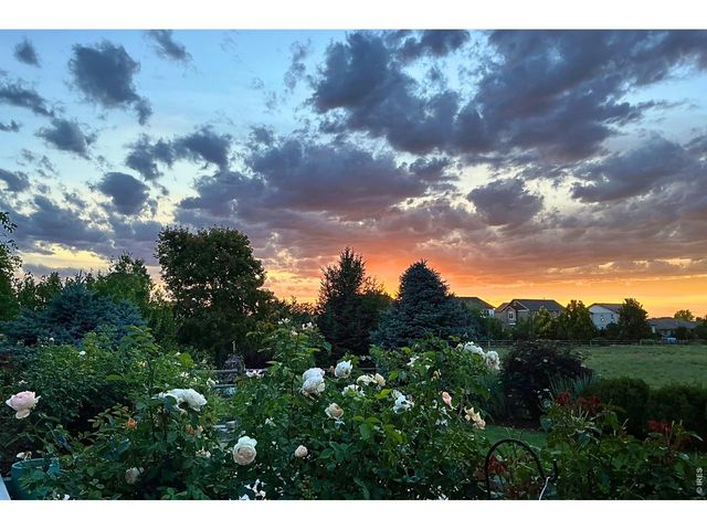 8270 Cherry Blossom Dr, Windsor, CO 80550
