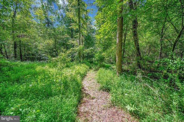 13185 MILL CREEK CT, Reva, VA 22735