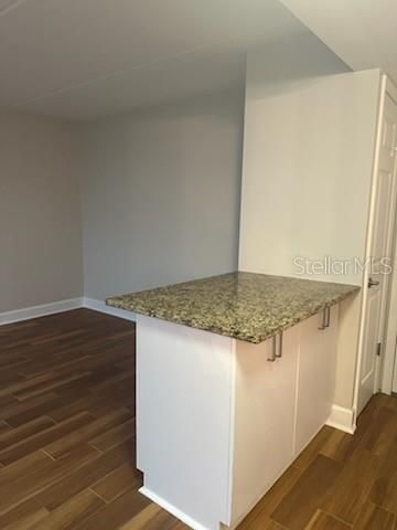 3325 BAYSHORE BOULEVARD 1, Tampa, FL 33629