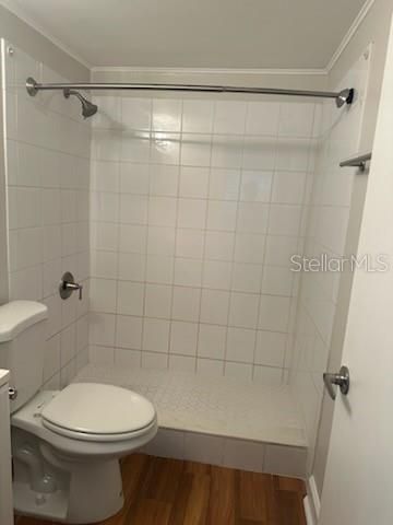 3325 BAYSHORE BOULEVARD 1, Tampa, FL 33629