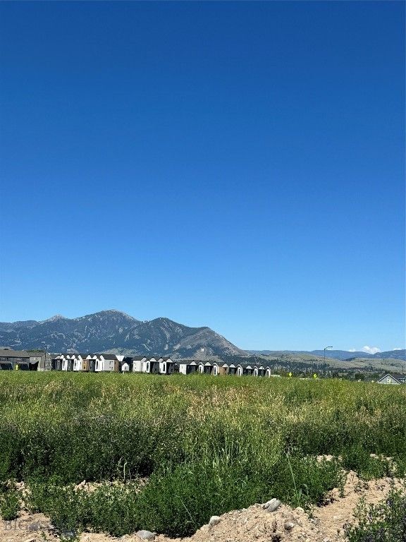 TBD Arnold Street, Bozeman, MT 59715 photo 4