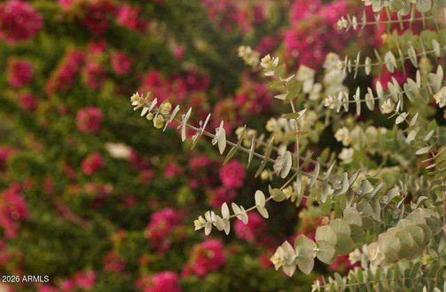 1369 S Monterey Street, Gilbert, AZ 85233