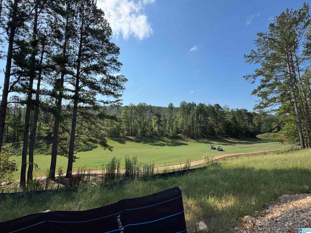 132 SINCLAIR GLEN, Pelham, AL 35124