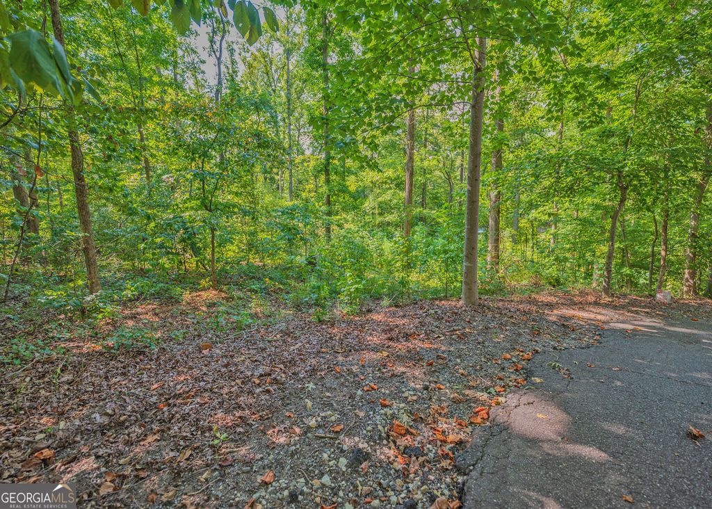 279 Mavericks Run, Martin, GA 30557 — photo 2