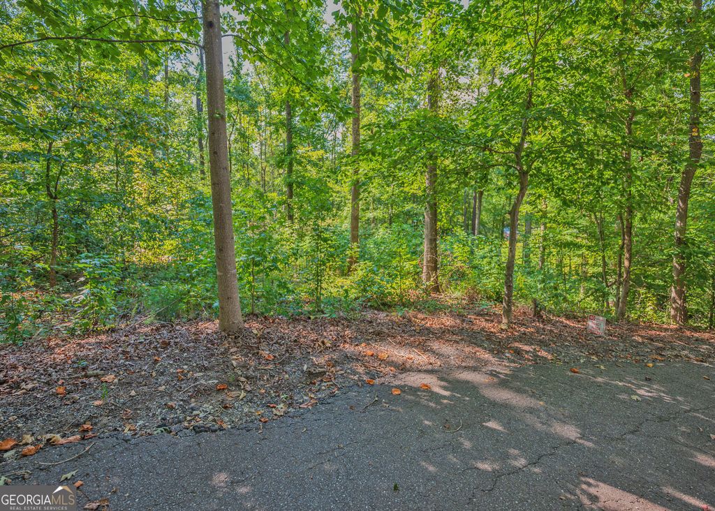 279 Mavericks Run, Martin, GA 30557 — photo 3