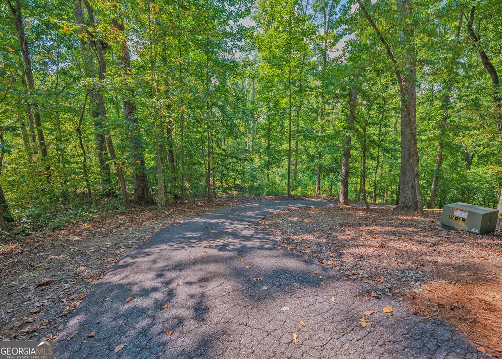 279 Mavericks Run, Martin, GA 30557 — photo 4