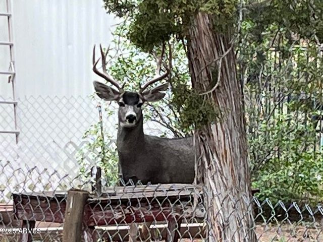 2064 PINEWOOD Drive, Overgaard, AZ 85933