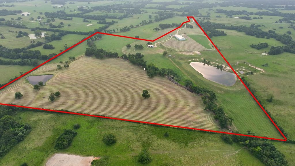 3285 Fm 2562 Road, Anderson, TX 77830