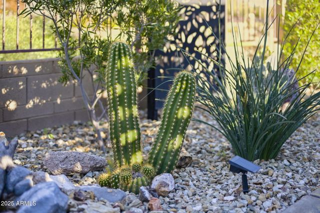 40998 W TAMARA Lane, Maricopa, AZ 85138