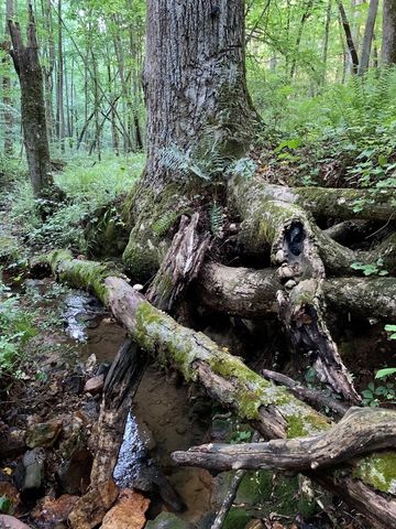 Lot 7 Highpoint Ridge Road, Ellijay, GA 30536