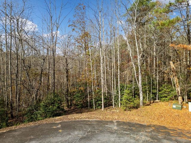 Lot 7 Highpoint Ridge Road, Ellijay, GA 30536