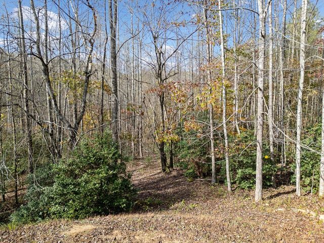 Lot 7 Highpoint Ridge Road, Ellijay, GA 30536