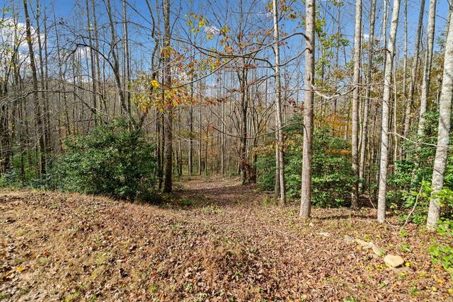 Lot 7 Highpoint Ridge Road, Ellijay, GA 30536