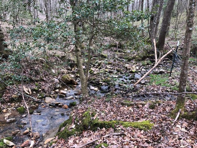 Lot 7 Highpoint Ridge Road, Ellijay, GA 30536