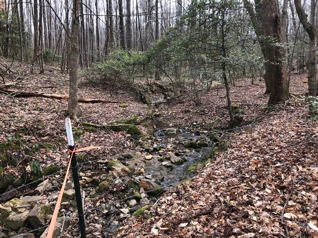 Lot 7 Highpoint Ridge Road, Ellijay, GA 30536