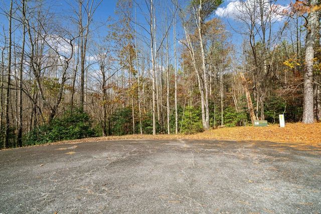 Lot 7 Highpoint Ridge Road, Ellijay, GA 30536