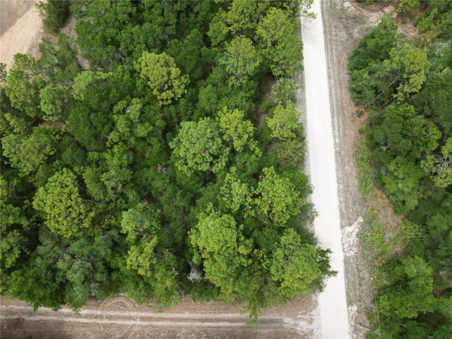 TBD SW 31ST PL, Ocala, FL 34481