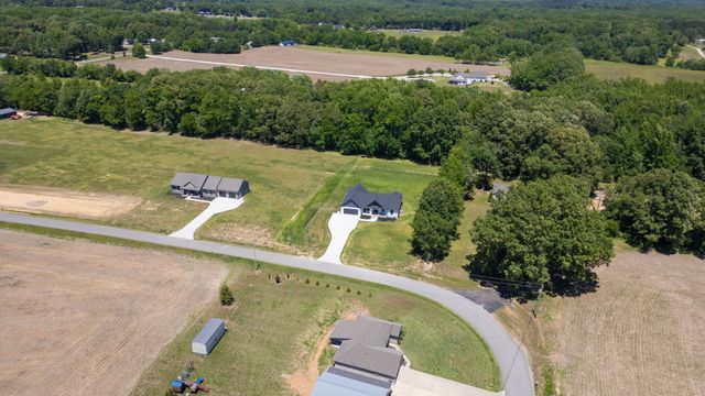 865 Alman Cemetery Rd, Paris, TN 38242