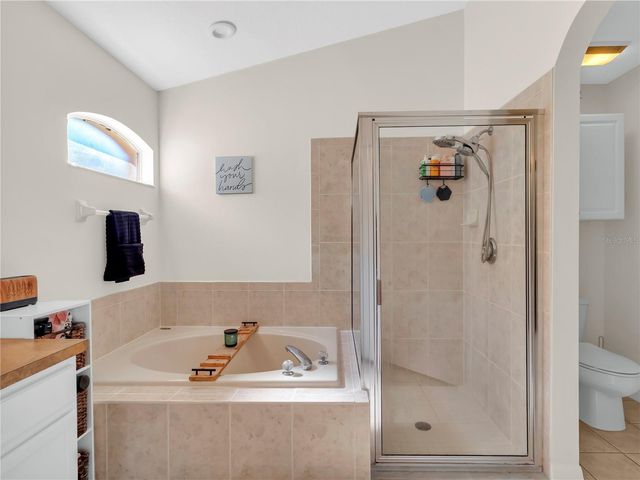 11529 CYPRESS RESERVE DRIVE, Tampa, FL 33626